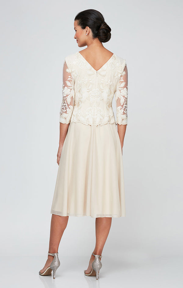 Petite Embroidered Tulle Dress with Illusion Sleeves & Scallop Trim