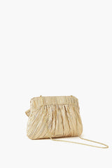 Gold Rayne Pleated Frame Clutch